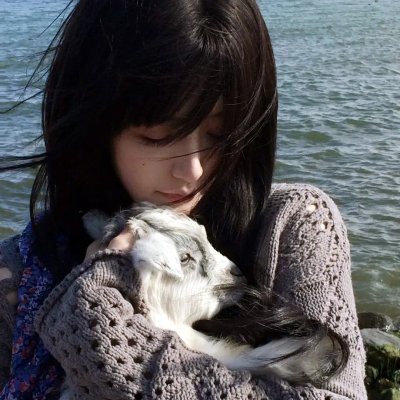 霍家拳之铁臂娇娃2