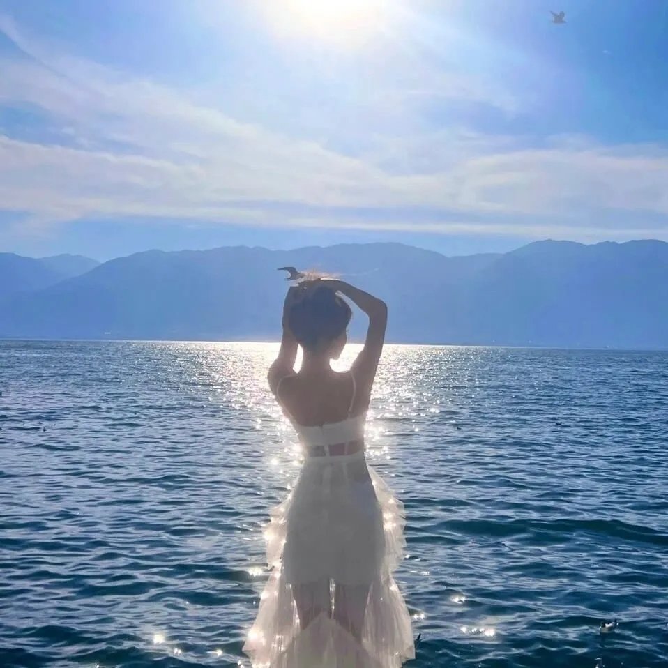 星蝶公主第二季